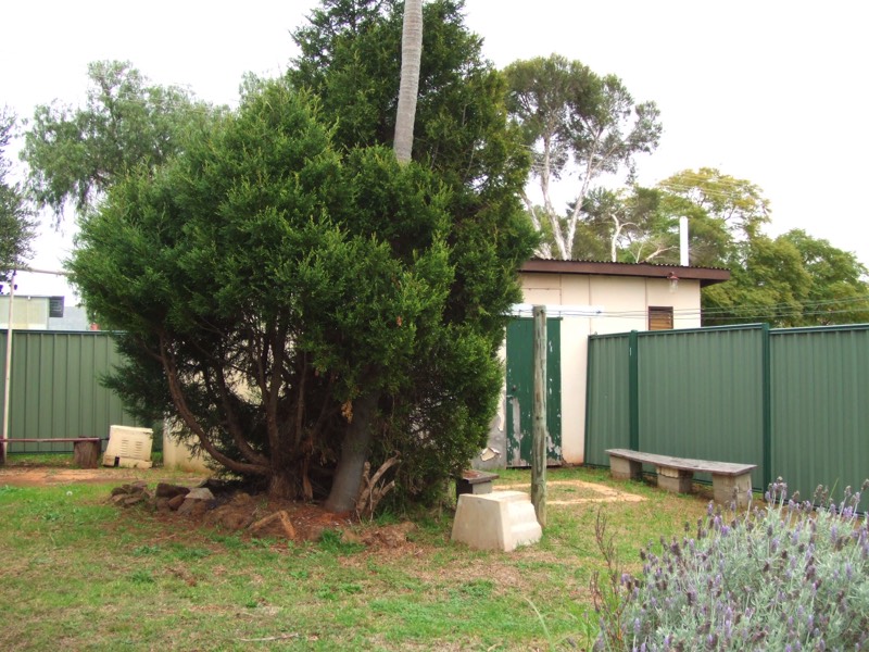 Stacks Image 199
